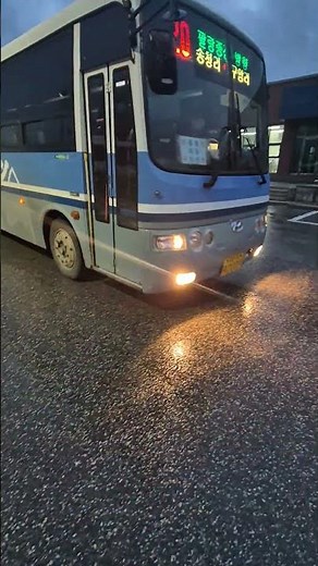 (양구)양구군청 20번 7005호 탑승영상