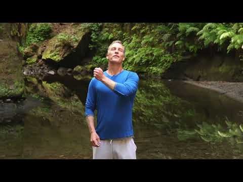 The #1 Acupressure Point for Immunity by master Lee Holden of Holden QiGong