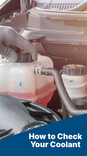 6.3K views · 19 reactions | Pop the hood, check the levels, keep it cool. Your engine runs hotter than it should without coolant and trust us, you don’t want to find out how bad that can get. Learn how to check yours so you’re not stuck on the side of the road wondering why your temp gauge looks mad. | CarParts.com | Facebook