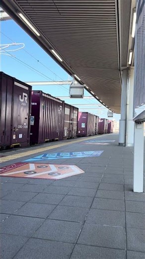 【銀釜‼️】EF510形電気機関車 鹿児島本線 折尾駅通過‼️#jr貨物 #ef510 #鹿児島本線 #貨物列車