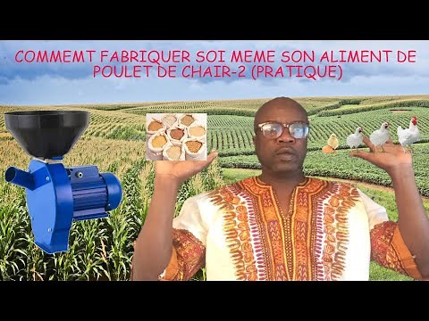 HOW TO MAKE YOUR OWN BROILER CHICKEN FEED 2 INVESTING IN FEED STORE