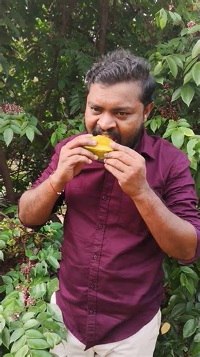 Star Fruits: The Superfruit You Didn't Know About