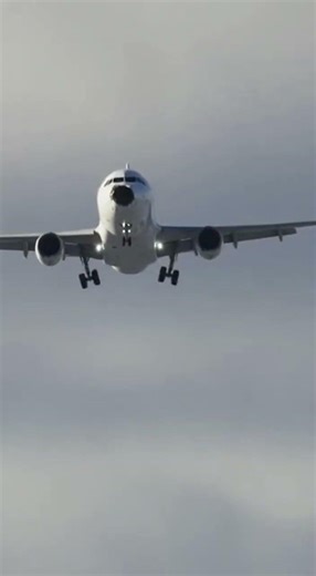 The Bird Strike That Forced an Emergency Landing”#AviationIncident#BirdStrike#EmergencyLanding#