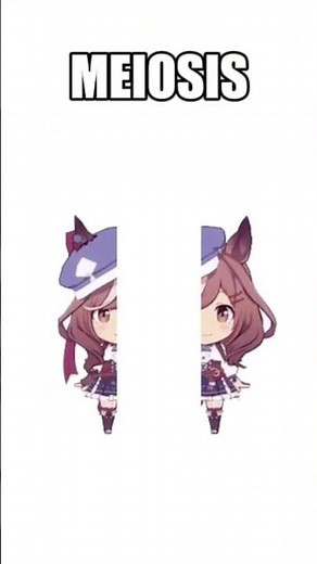 Mambo funny-cute video 😂 #mambomeme #cute #mambo #meme #umamusume #kawaii #funnycute