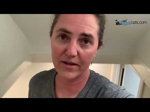 How I Make My Cat’s Litter Box Super Clean!