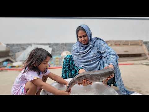 শম্পার নতুন রান্নাঘরে কি কি আছে | Doyel Agro