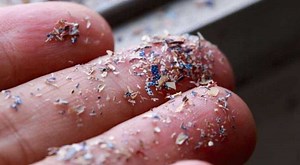 After blood, presence of microplastics detected in human lungs