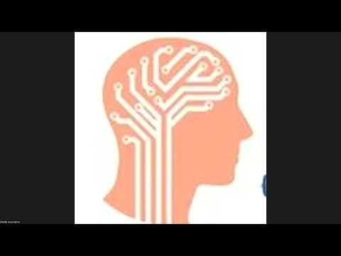 Flutter Development Career Program Session 1