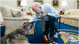 Things We Saw Today: RIP Champ Biden, the Best of Boys | The Mary Sue