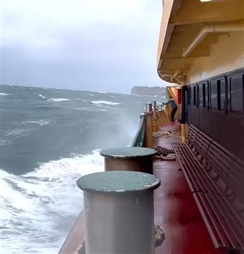 342K views · 3.1K reactions | Fun Times on the Manly Ferry. Who has had a crazy fun trip on the old Ferry and Hydrafoils?  Peter Killick | Love Manly | Facebook