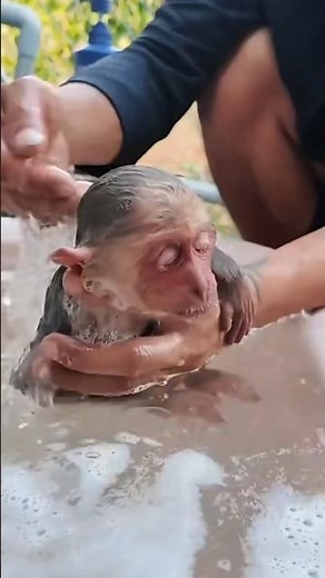 Baby Monkey Lala's First Bath Transformation! 🛁🐒 So Cute! #shorts