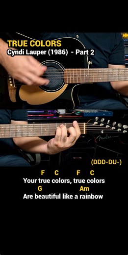 True Colors - Cyndi Lauper (1986) Easy Guitar Chords Tutorial with Lyrics Part 2 SHORTS REELS 🎸🎸🎸 #DocOtepGuitarTutorial | Doc OTEP Studio