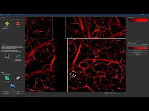 Lesson 3 - How to align and stitch big microscopy datasets (up to terabytes)