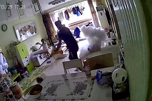 Video: Electric scooter explodes while charging in living room, man and daughter have narrow escape