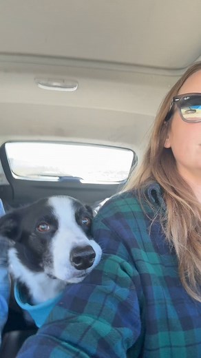 K-9 Hiking Challenge! It's time to hit the trails with your dog and we'll have a tree planted on your behalf once you complete the challenge! Visit www.myadventurechallenge.com for details! #hikingwithdogs ##MyAdventurek9challenge #hiking #HikingChallenge #getoutdoors #doglover #k9adventure #MyAdventureCallenge #dogwalker #doglife #Huskylife #adventure | My Adventure Challenge