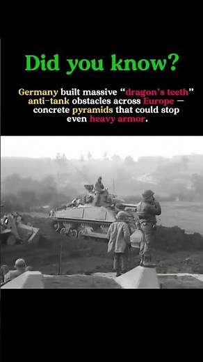 Germany’s “Dragon’s Teeth” — The Concrete Wall That Stopped Tanks