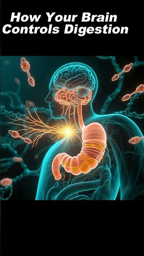 How Your Brain Controls Digestion