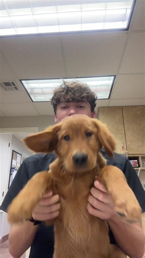 Master the Cha Cha Slide Dance Moves