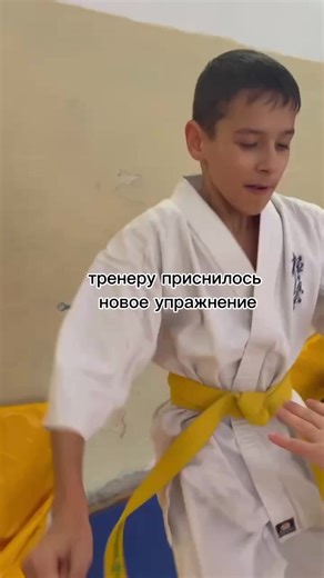 Understanding Kyokushinkai Karate Techniques