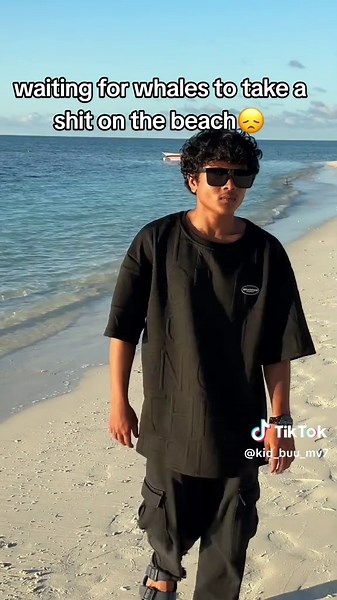 Understanding Whales and Their Behavior on Beaches