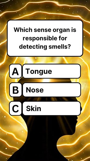 Which sense organ is responsible for detecting smells? #quiz #shorts #trivia #usashorts #gkquiz