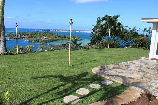 El Toro Zoysia - Hawaiian Turfgrass