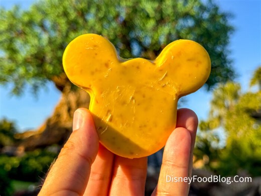 REVIEW: This Mickey Shaped Snack Just Fulfilled A Childhood Dream | the disney food blog