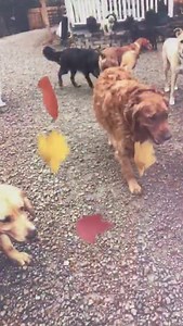 14 reactions | Happy Tuesday!! | Buddy Boarding Farm | Facebook