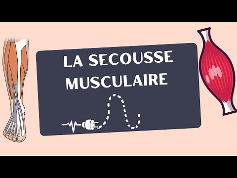 La Secousse Musculaire