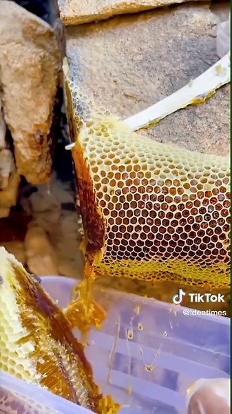 Soothing ASMR Honey Eating Video