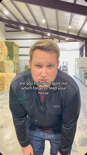 The best forage option for your horse! #horseforage #hayforhorses #horsenutrition #horseowner #equinenutrition | Cook Feed & Outdoor