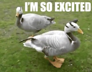 3.4K views · 72 reactions | We're so excited that Facebook now allows...