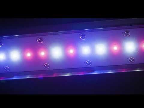 KIND LED Grow Lights X2