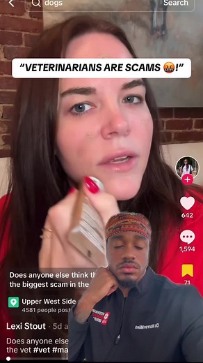 Vet Experiences: Share Your Story