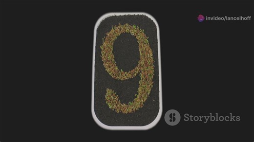 Life Path Number Calculator : Easily Discover Yours