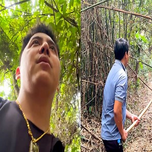 15K views · 528 reactions | Dad followed the guide into the deep forest to find Monkey Kaka | Monkey Xuka | Facebook