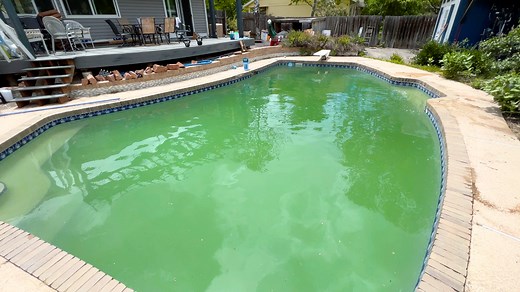 The Fastest Way to Kill Pool Algae (24 Hours)