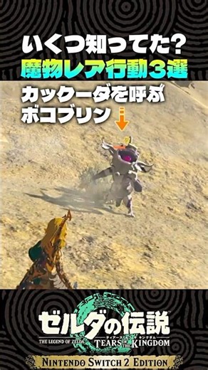 いくつ知ってた? 魔物レア行動3選【ゼルダの伝説 ティアキン】