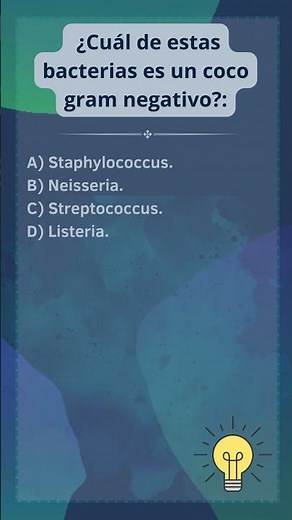 Identificación de Neisseria en Microbiología Clínica #oposicionessanitarias
