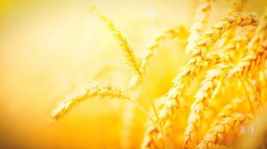 What is unity? | Torah Cafe