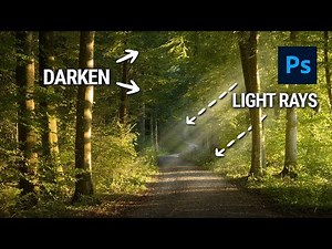 DREAMY FOREST Post Processing in Photoshop