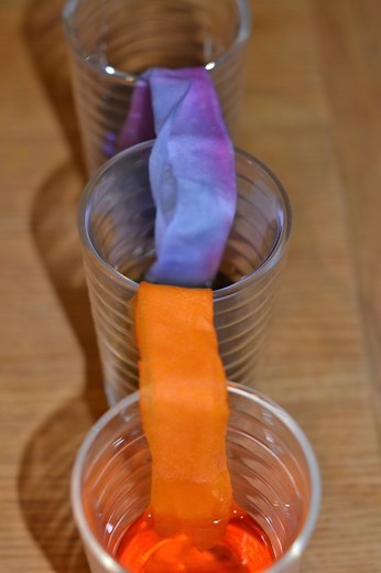 Walking Water Experiment