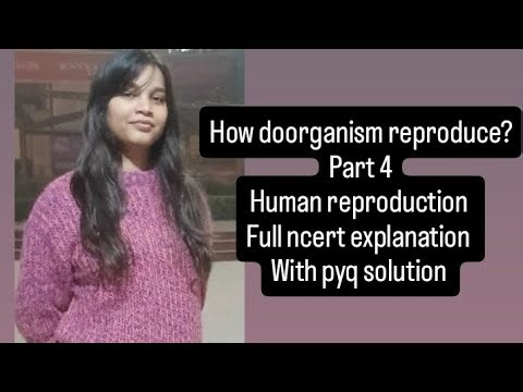 How do organisms reproduce? human Reproduction