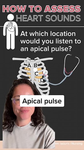 Locating the Apical Pulse: A Nursing Student's Guide