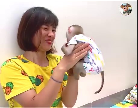 Eww...Baby Monkey Called Mom For Help When He Pooped So Bad Smell | Jorden Monkey