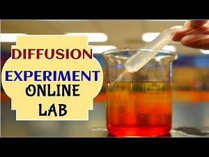 DIFFUSION EXPERIMENT | ONLINE LAB | VIRTUAL LEARNING | TEACHER PIENAY