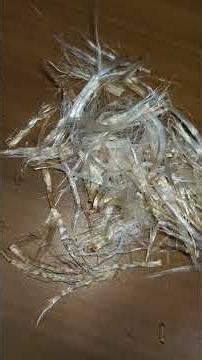 My cute little desert roses... 🥰🥰 അഡീനിയം എങ്ങനെ മുളപ്പിച്ചെടുക്കാം..... 🌿🌿 #happygardening #nature