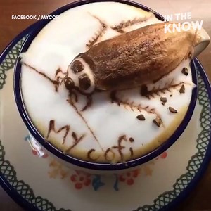 621K views · 66 reactions | This cockroach actually moves on top of your coffee!  Via In The Know Creative | Yahoo Lifestyle Australia | Facebook