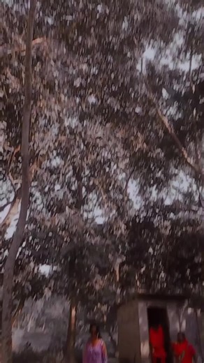 #💗💗 #foryour #trending #anita_shah123 #