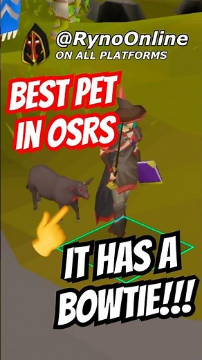 Easiest Pet in OSRS to get! Kill Brutus for Beef